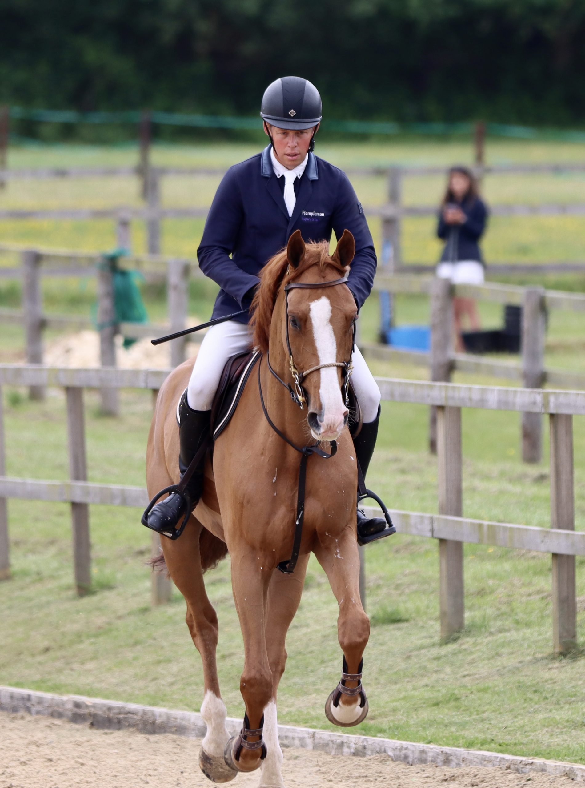 horse-image